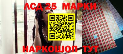 мдпв Гатчина