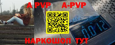 мдпв Гатчина