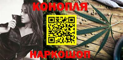 мдпв Гатчина