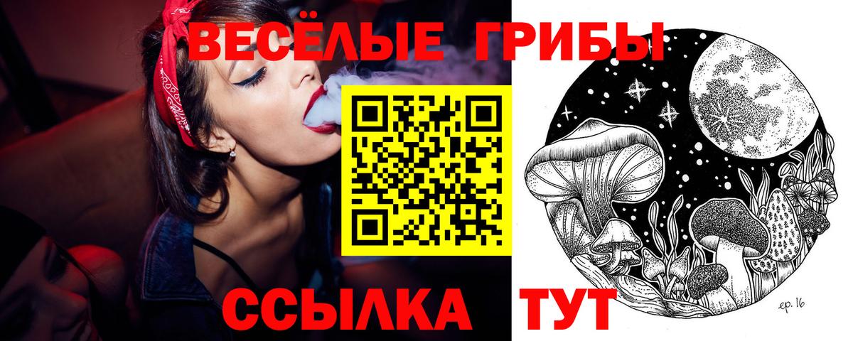 Заринск  Псилоцибиновые грибы ЛСД  Галлюциногенные грибы прущие грибы  Вход с VPN 